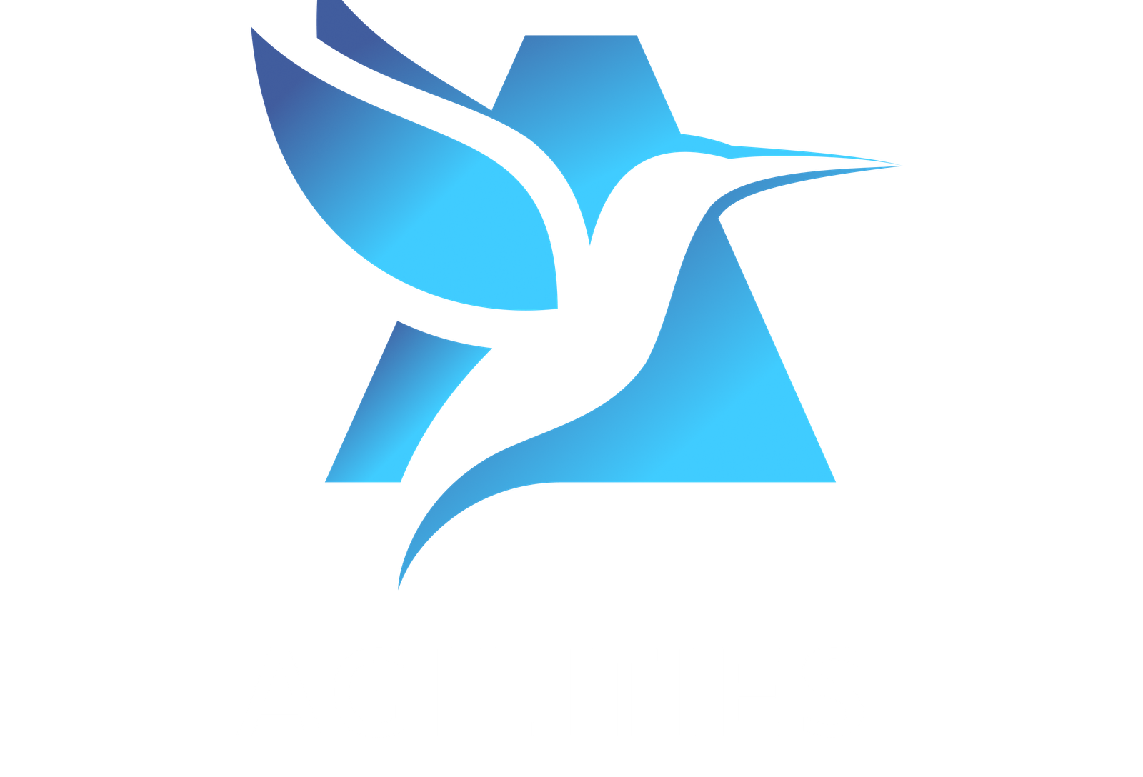 AGILITIES